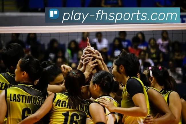 球赛投注服务体系